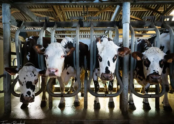 Gîte Gîtes de France® - Le Gîte des Saveurs Le Tot